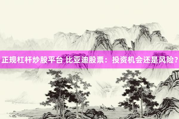 正规杠杆炒股平台 比亚迪股票：投资机会还是风险？
