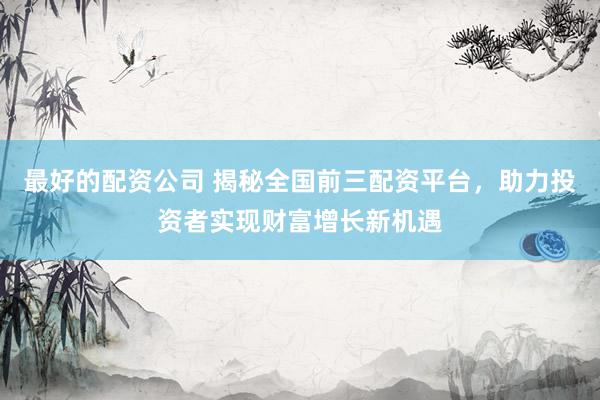 最好的配资公司 揭秘全国前三配资平台，助力投资者实现财富增长新机遇