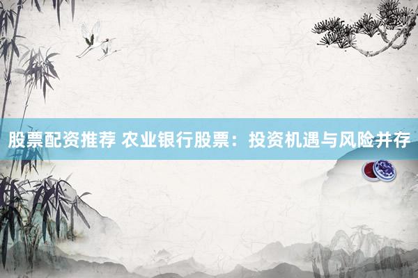 股票配资推荐 农业银行股票：投资机遇与风险并存