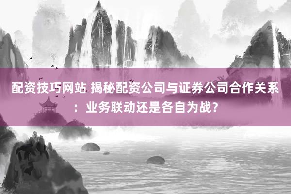 配资技巧网站 揭秘配资公司与证券公司合作关系：业务联动还是各自为战？