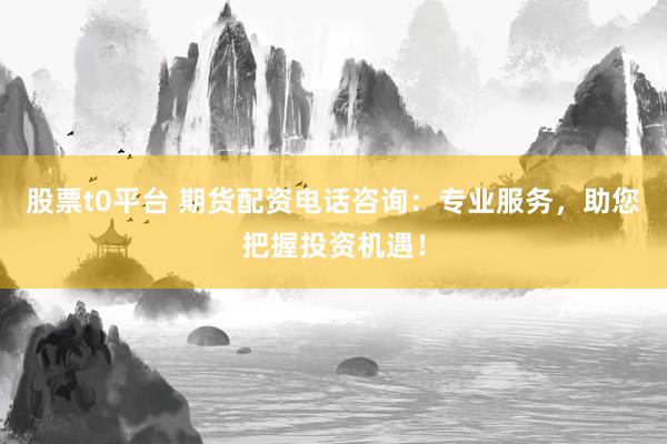 股票t0平台 期货配资电话咨询：专业服务，助您把握投资机遇！