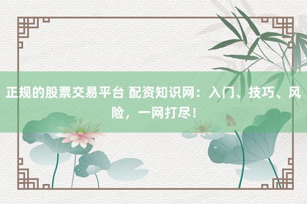 正规的股票交易平台 配资知识网：入门、技巧、风险，一网打尽！