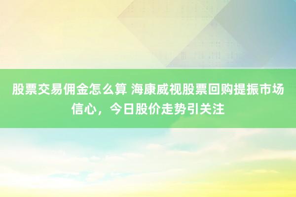 股票交易佣金怎么算 海康威视股票回购提振市场信心，今日股价走势引关注