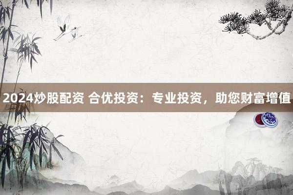 2024炒股配资 合优投资：专业投资，助您财富增值