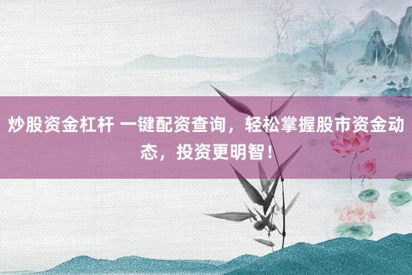 炒股资金杠杆 一键配资查询，轻松掌握股市资金动态，投资更明智！