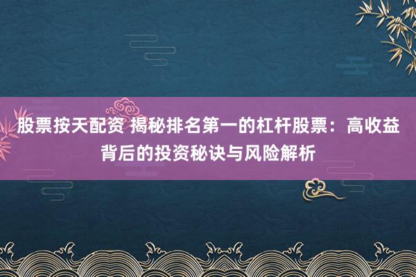 股票按天配资 揭秘排名第一的杠杆股票：高收益背后的投资秘诀与风险解析