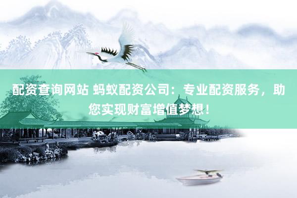 配资查询网站 蚂蚁配资公司：专业配资服务，助您实现财富增值梦想！
