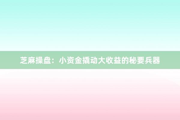芝麻操盘:小资金撬动大收益的秘要兵器