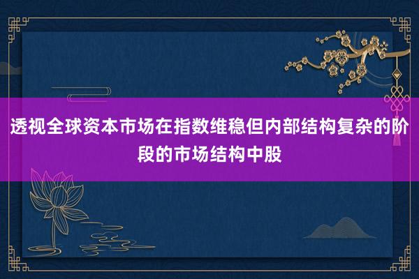 透视全球资本市场在指数维稳但内部结构复杂的阶段的市场结构中股