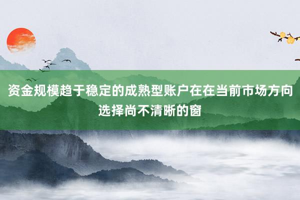资金规模趋于稳定的成熟型账户在在当前市场方向选择尚不清晰的窗