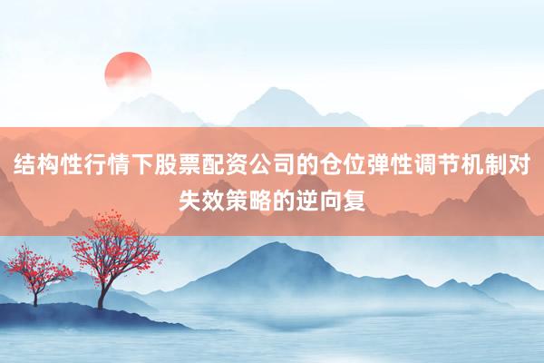 结构性行情下股票配资公司的仓位弹性调节机制对失效策略的逆向复